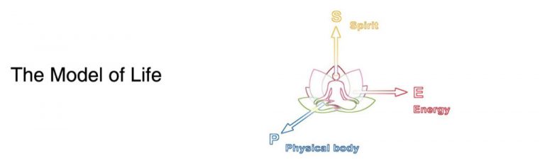 TheModelOfLifeBanner-1024x307